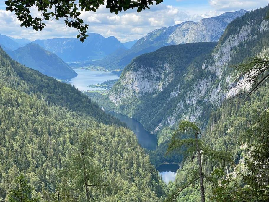 Alpenurlaub II Wohnung Mit Traumausblick Bad Mitterndorf Bagian luar foto