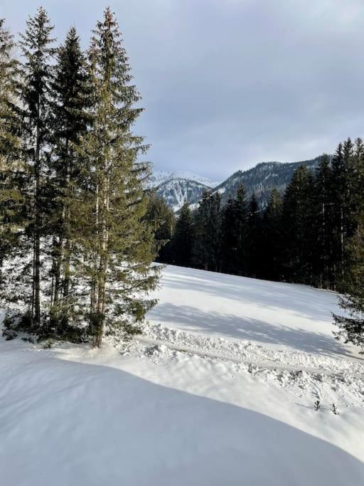 Alpenurlaub II Wohnung Mit Traumausblick Bad Mitterndorf Bagian luar foto