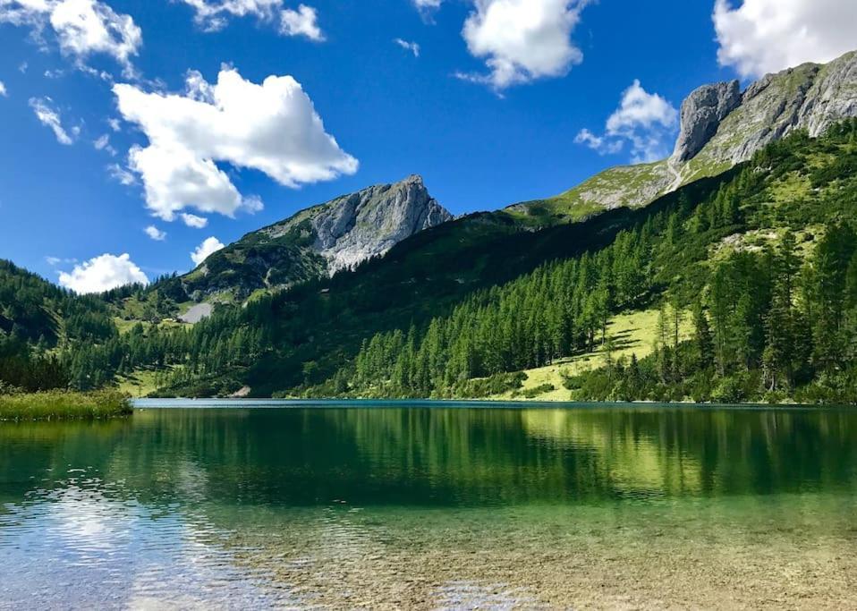 Alpenurlaub II Wohnung Mit Traumausblick Bad Mitterndorf Bagian luar foto